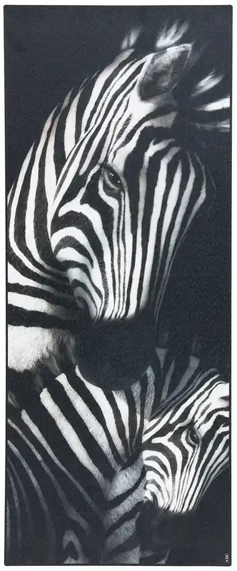 VISTA BW04 ZEBRA