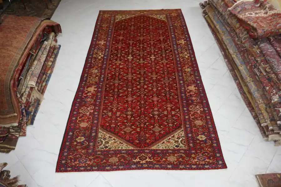 Antico Farahan Persia 411×216-N.11592