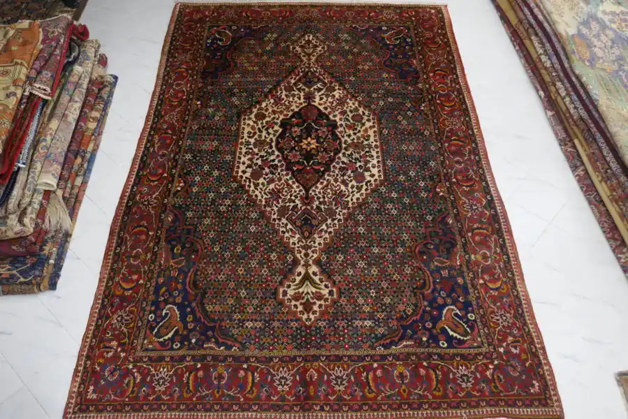 Bakhtiari Persia 369×242-N.11595