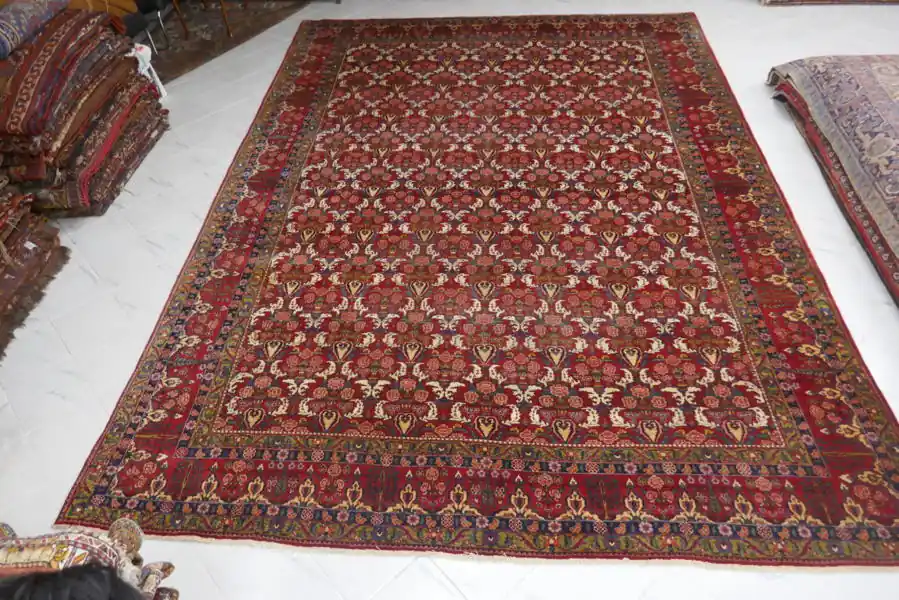 Antico Tappeto Persiano Bakhtiari Datato 440×320-N.12724