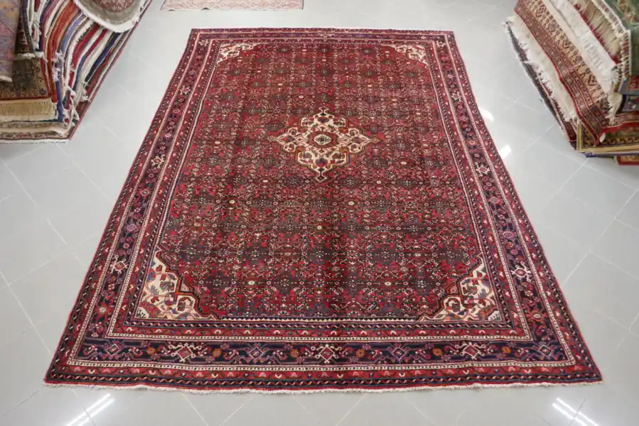Tappeto Persiano Hamadan Hosseinabad 304×220-N.15013