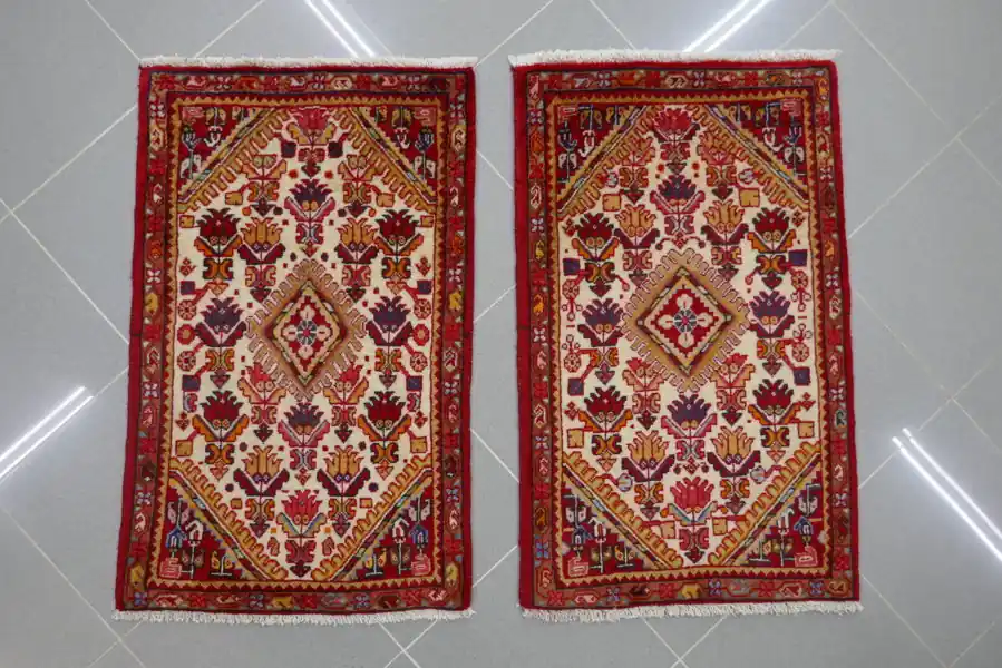 Scendiletti Persiani Jozan 85×53-85×53 N.14838-14839