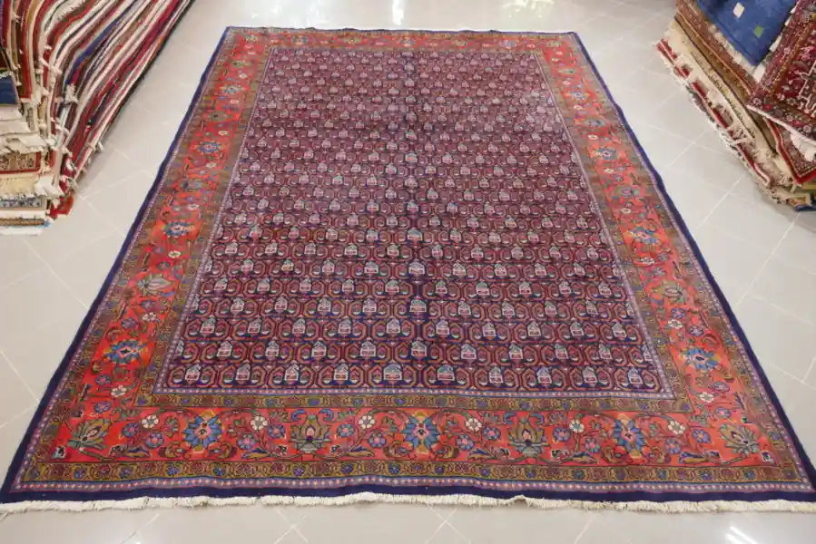 Tappeto Persiano Saruk da Salotto 324×243-N.14299