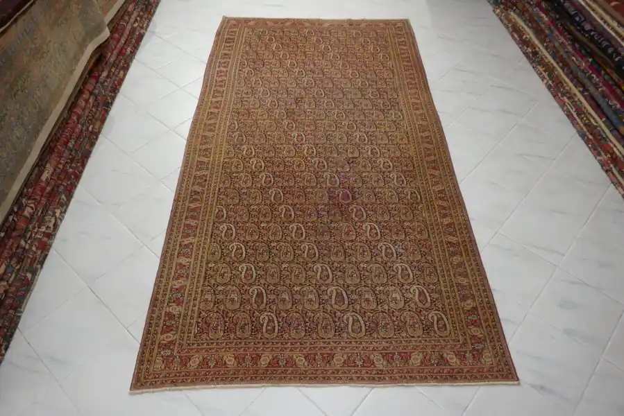Tappeto Persiano Dorokhsh Antico 285×150-N.11526