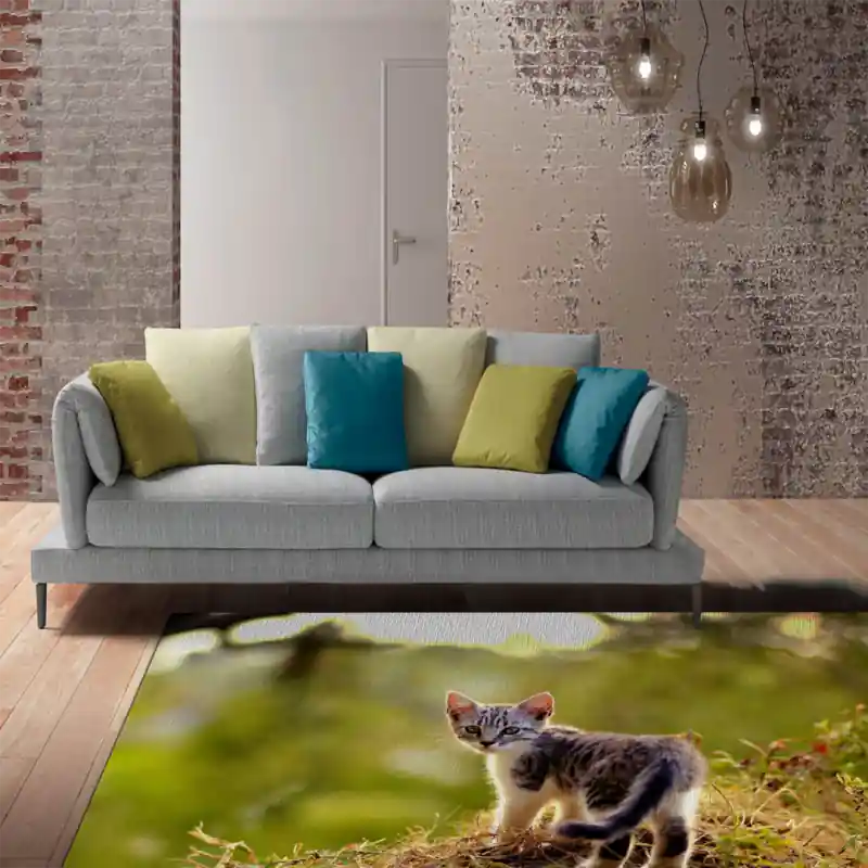 Tappeto Passatoia Salotto Cucina Bagno Lavabile Stampa Digitale Gatto Cucciolo Europeo - GAT0040