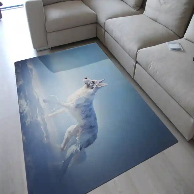 Tappeto Passatoia Salotto Cucina Bagno Lavabile Stampa Digitale Cane Border Collie - CAN0048