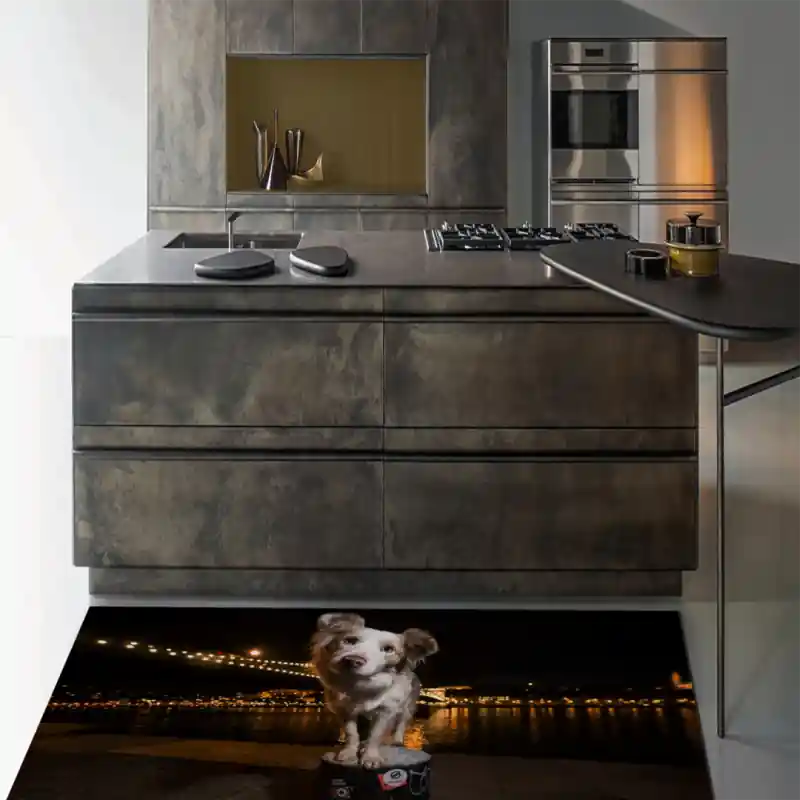 Tappeto Passatoia Arredo Salotto Cucina Bagno Lavabile Stampa Digitale Border Collie - CAN0017