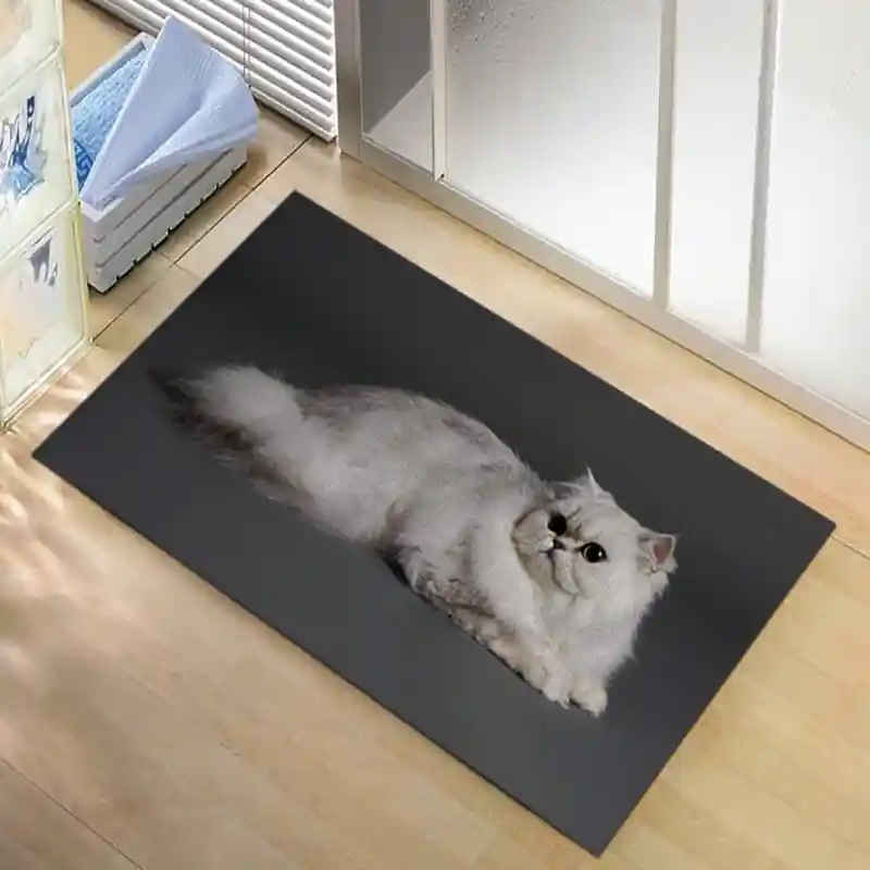 Tappeto Passatoia Salotto Cucina Bagno Lavabile Stampa Digitale Gatto Persiano - GAT0001