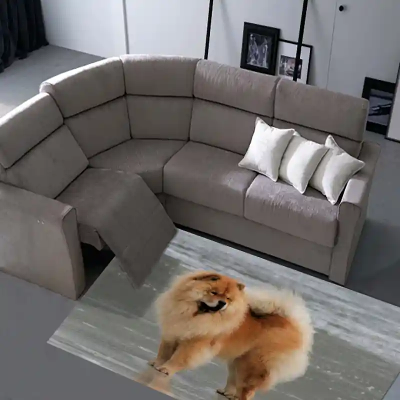 Tappeto Passatoia Arredo Salotto Cucina Bagno Lavabile Antiscivolo Stampa Digitale Chow Chow CAN0001