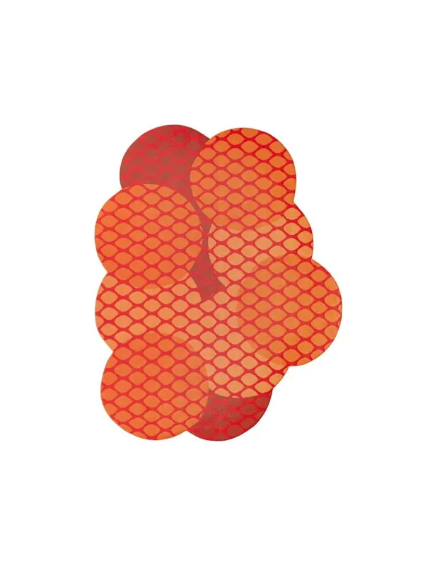 Citrus Interni/Esterni Orange