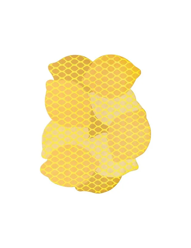 Citrus Interni/Esterni Lemon