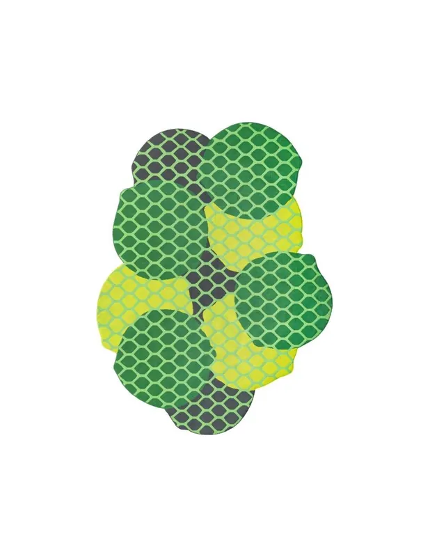 Citrus Interni/Esterni Lime