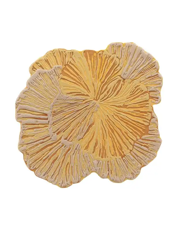 Botanica Yellow