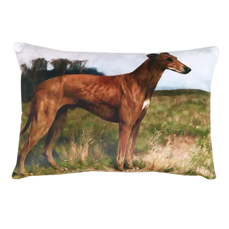 Cuscino decorativo Trussardi 30x45 cm con imbottitura PAINTINGS