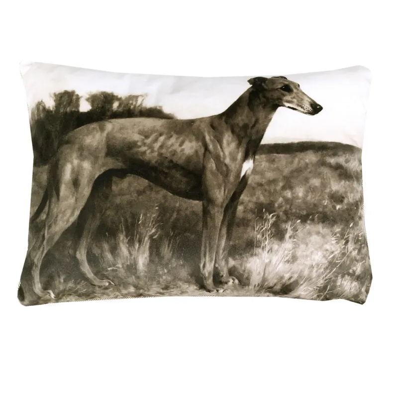 Cuscino decorativo Trussardi con imbottitura PAINTINGS grigio seppia