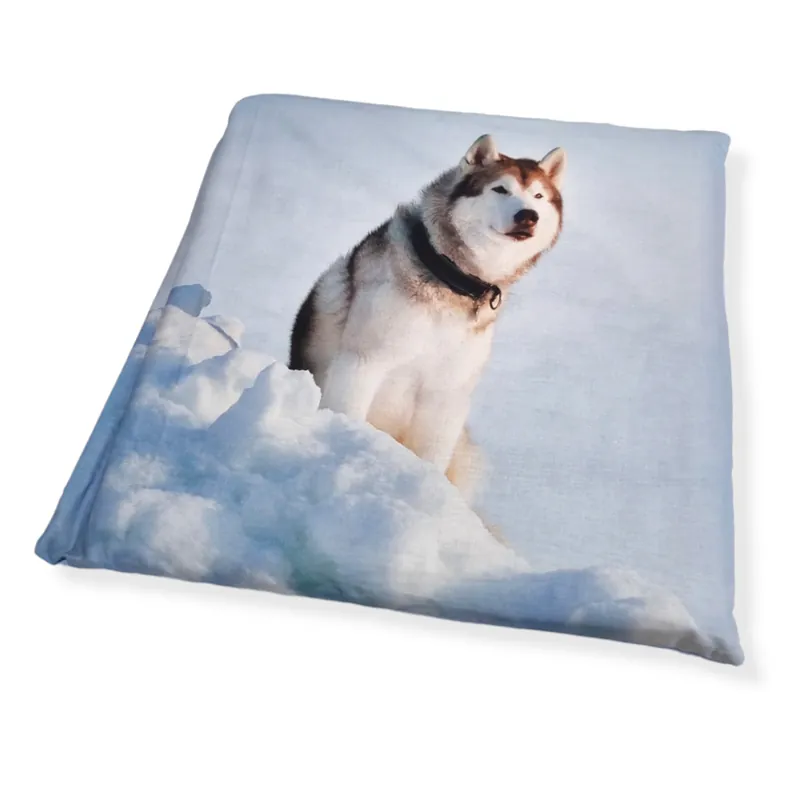 Copripiumino e federe matrimoniale HUSKY Happidea in cotone