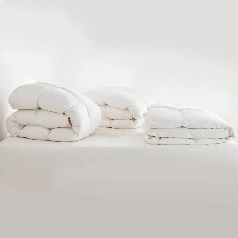 Bassetti Piumone GLOBE Cotone PERCALLE 3 stelle Invernale