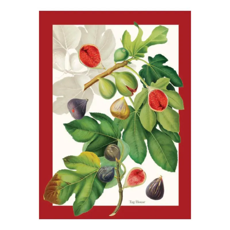 Strofinaccio canovaccio in cotone MAXI 58x80 TAG HOUSE Ficus rosso