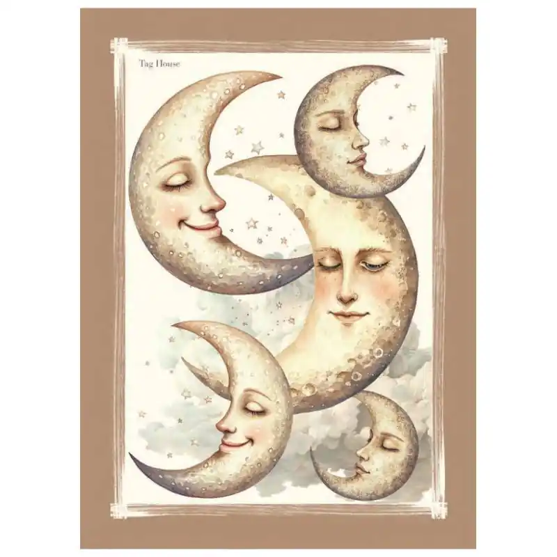Strofinaccio Cotone 58x80 cm TAG HOUSE Sole Luna Biscotto