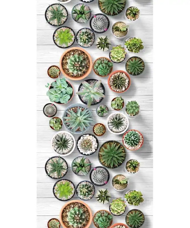 Tappeto Futura Cactus
