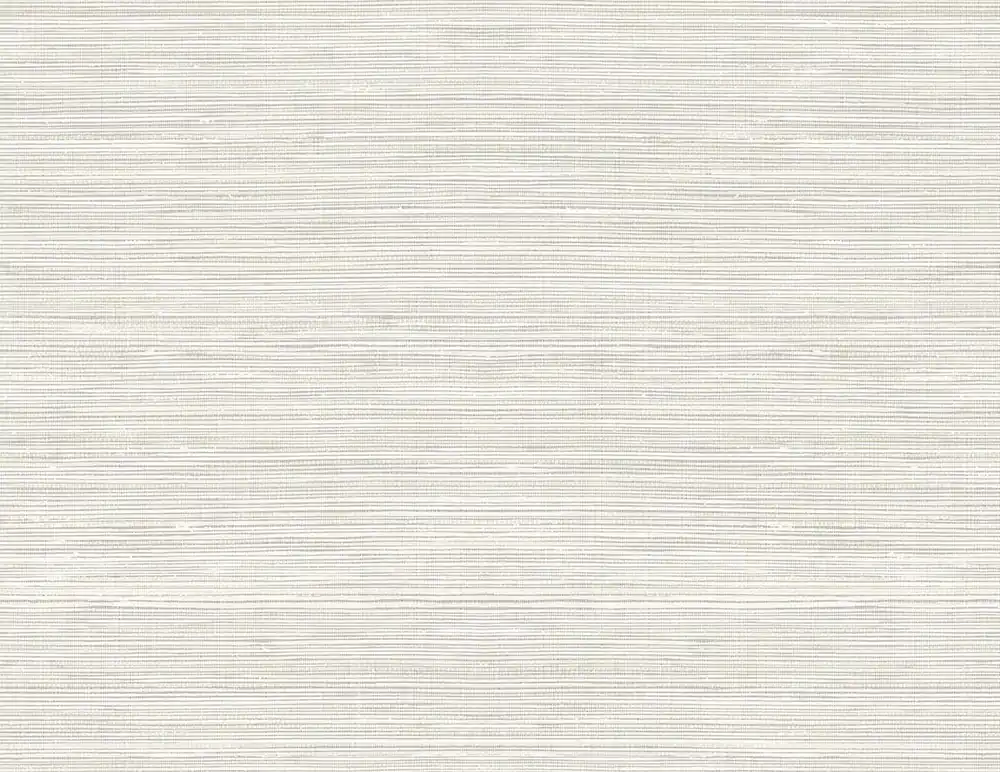 Willow WP