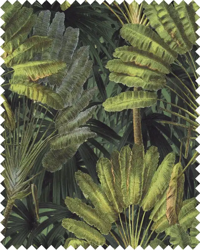 TRAVELLER’S PALM-FB00035