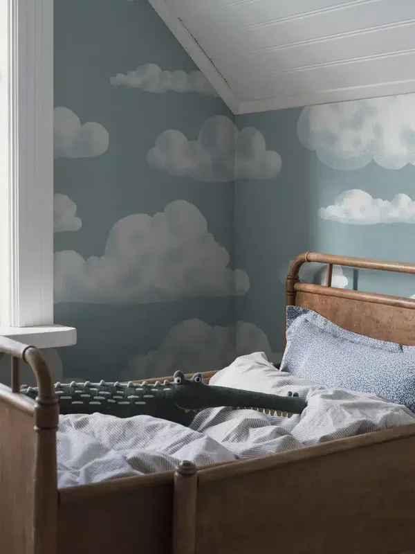 IN THE CLOUDS