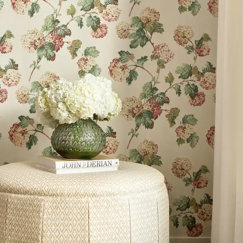 SUSSEX HYDRANGEA