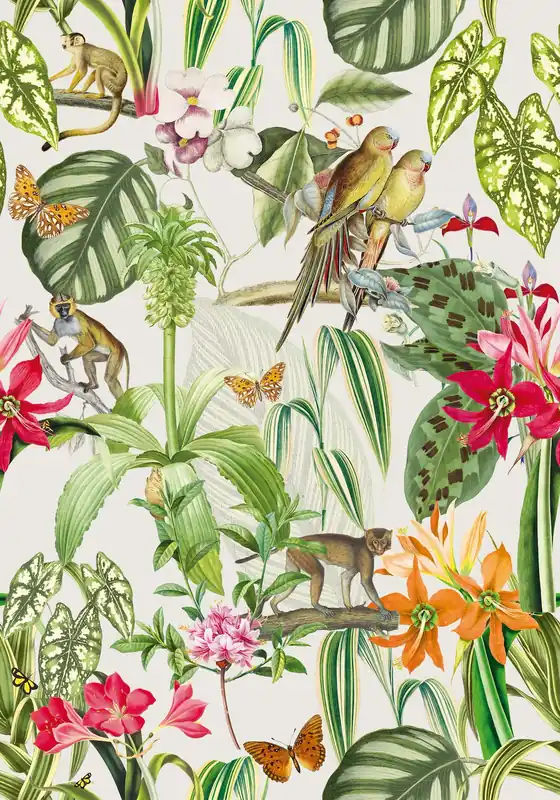 PARROTS