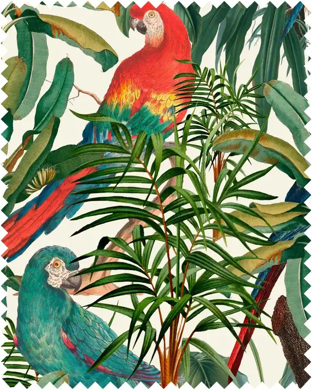 PARROTS OF BRASIL-FB00008