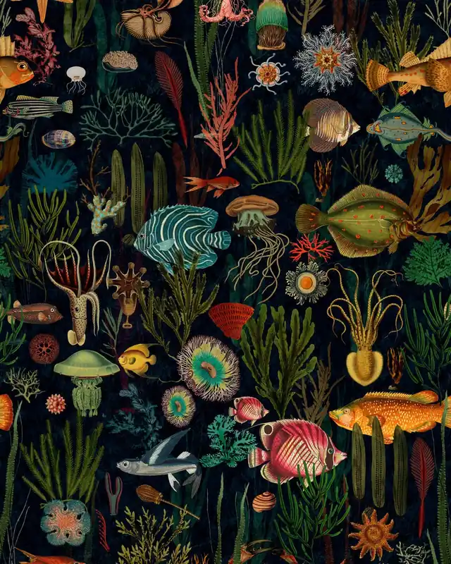 OCEANIA-WP20304