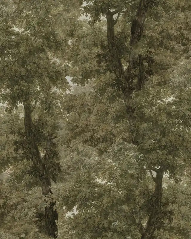 BRANCHY-WP