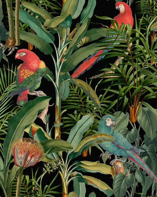 PARROTS OF BRASIL-WP