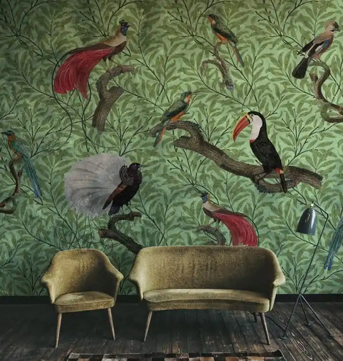 EXOTIC FEATHERS