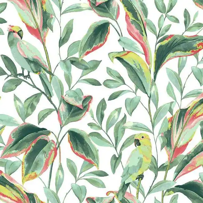 Tropical Love Birds | Tropics