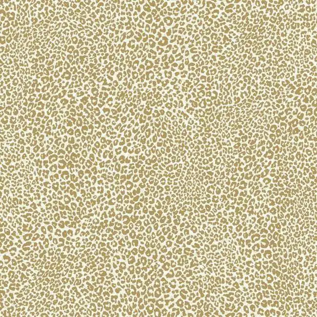 Leopard King | Tropics