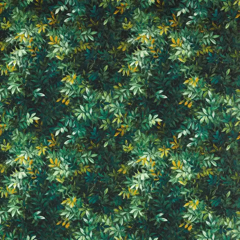 CONGO OUTDOOR F1666/01