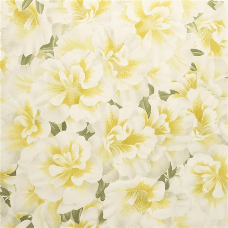 VARIEGATED AZALEA