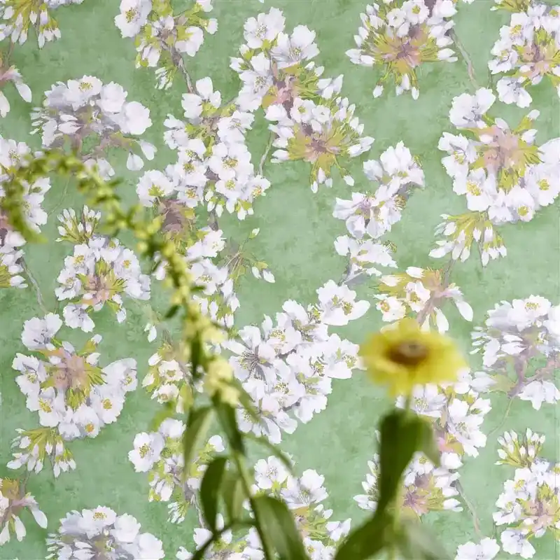 FLEUR D ASSAM