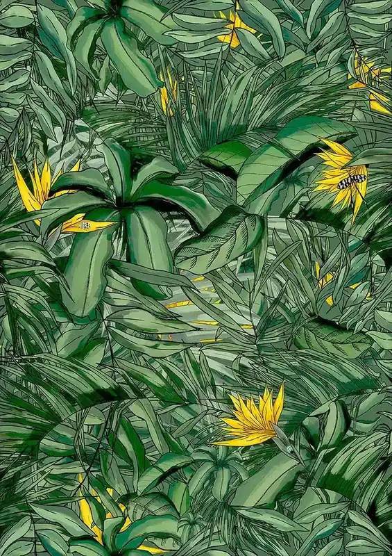 TROPICAL FOREST DARK