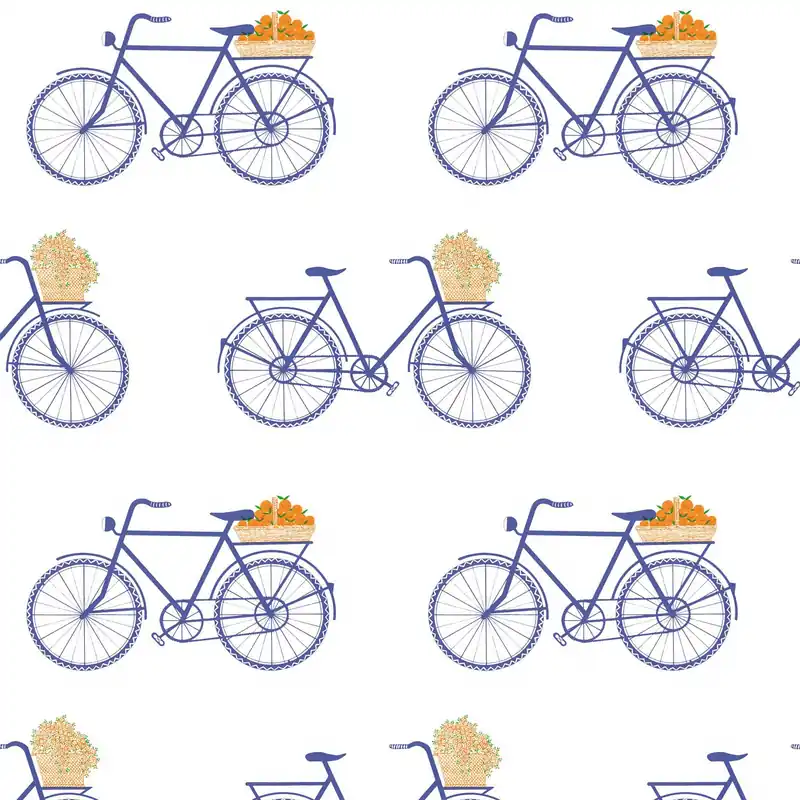 BICICLETAS WP