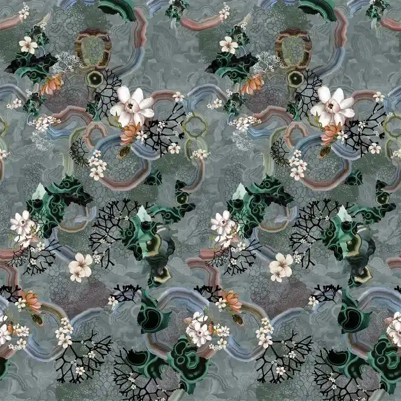 ALGAE BLOOM