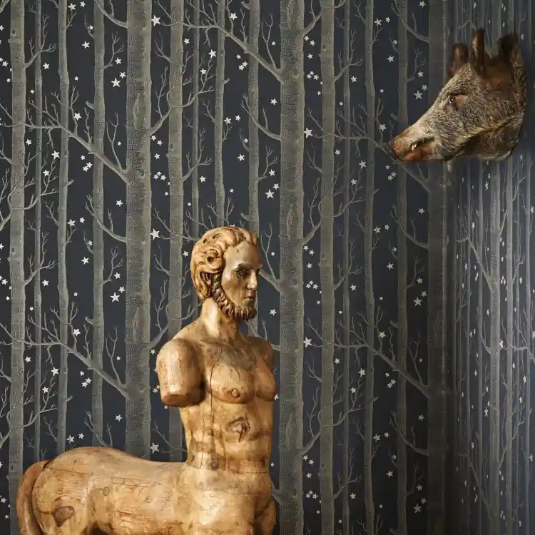 CARTA PARATI COLE&SON - WOODS & STARS
